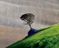 Sony World Photography