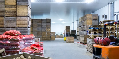 Depozit cartofi - ladite cartofi - import legume FOTO Shutterstock