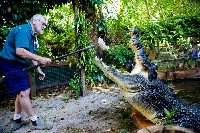 Foto: Facebook/Marineland Melanesia Crocodile Habitat