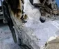 imagini incendiu neamt interior 2