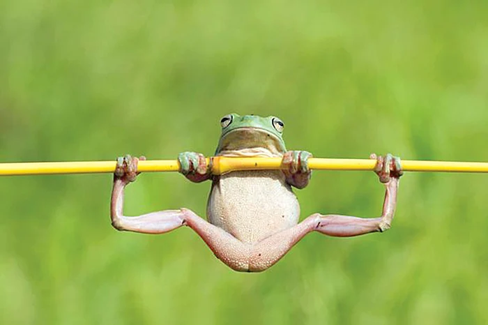 Foto: Guliver, Rex Features