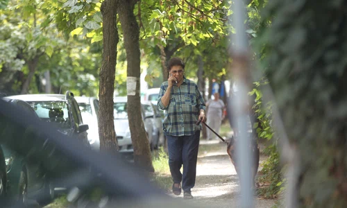 A fost surprinsă și în alte dăți la plimbare jpeg