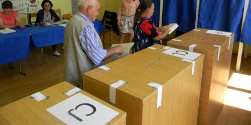 Alegeri Vama - Satu Mare