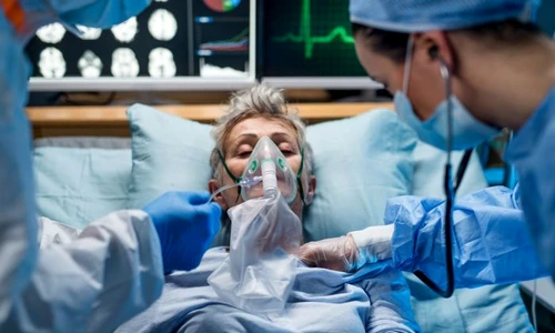 1 shutterstock 1668007552 jpg jpeg