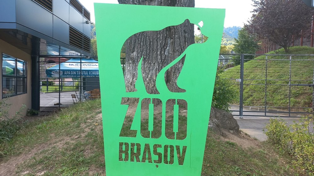 Grădina Zoologică din Brașov, admisă în Asociația Europeană. Vor putea fi aduse specii care nu mai sunt în România 