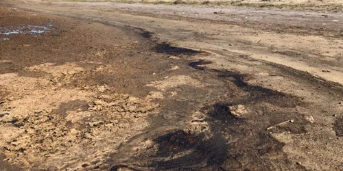 Poluare în zona plajei Vadu FOTO Călin Gavrilaş