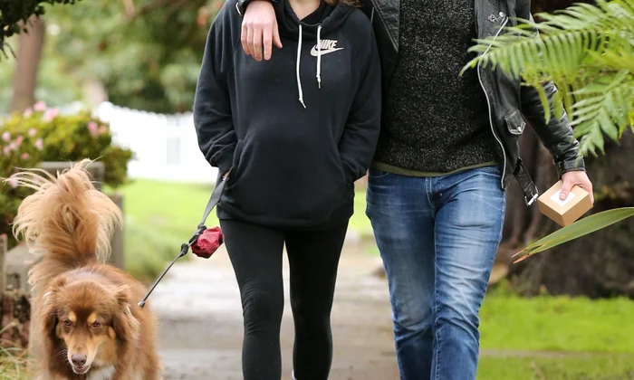 Exclusive    Pregnant Amanda Seyfried & Thomas Sadoski Out For Lunch In Hollywood jpeg