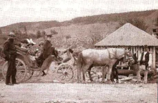 Pitorescul orașului Vălenii de Munte așa cum l a văzut Nicolae Iorga pentru prima dată | FOTO jpeg