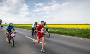 Wings for Life   cu un pas mai aproape de găsirea unui remediu pentru afecțiunile coloanei vertebrale jpeg
