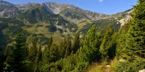 retezat foto ioan benea jurca