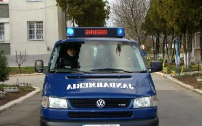 Jandarmii i-au amendat pe cei doi scandalagii