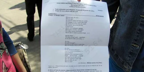 Examen de capacitate la Liceul C.D.Loga Foto