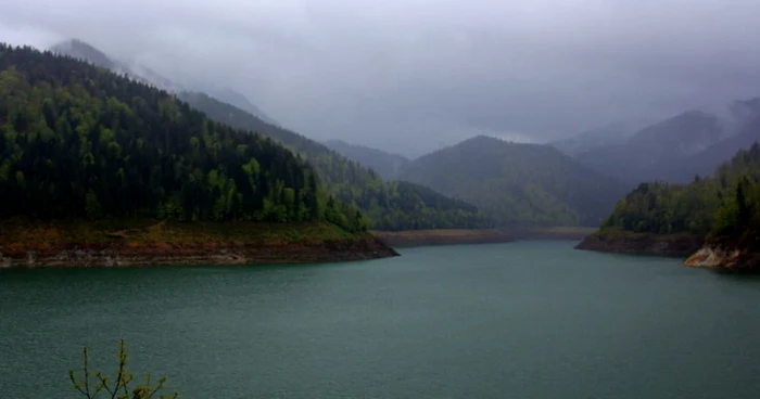 lacul gura apelor retezat foto daniel guta adevarul