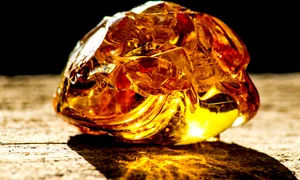 Chihlimbar, foto shutterstock jpg