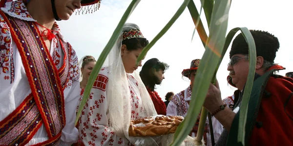 olteni