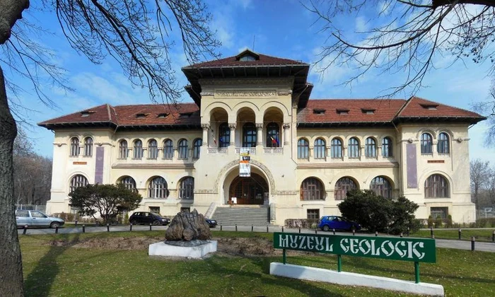 Muzeul Național de Geologie   un obiectiv de vizitat in Bucuresti jpeg