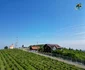 Drumul Vinului FOTO Visit Timiș