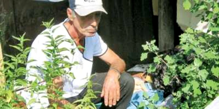 Timp de trei ani, Octavian Dumitrescu, bătrânul căruia i s-a furat casa, a dormit în pădure