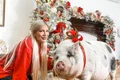 foto mare spread 14 15 tori spelling craciun cu porcul jpg