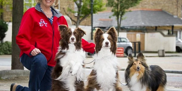 caine britains got talent foto daily mail 