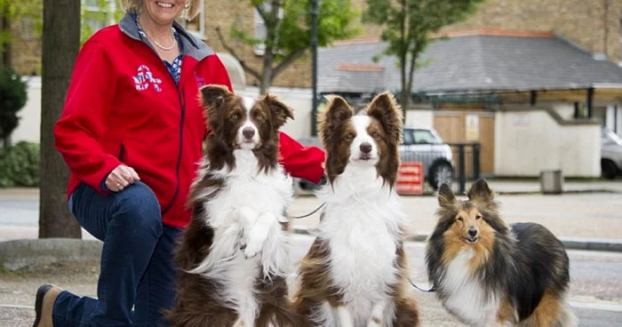 Jules O’Dwyer
a câştigat „Britain’s
Got Talent“ cu un număr de dresaj canin în care a folosit un
„câine-dublură“ FOTO „Daily Mail“