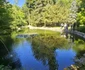 Parcul dendrologic Simeria Foto Daniel Guță ADEVĂRUL (53) jpg