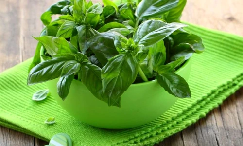 1 76860 original jpg jpeg