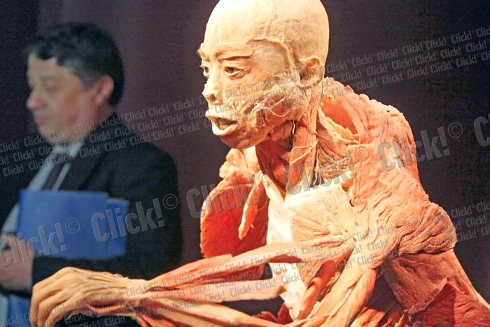 Cadavrul care întruchipează un cetăţean chinez în alergare pare viu. Fiecare muşchi e încordat la maximum (Fotografii: Sever Gheorghe)