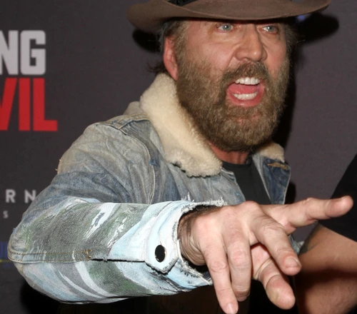 1 nicolas cage 1 profimedia 0471259404 jpg jpeg