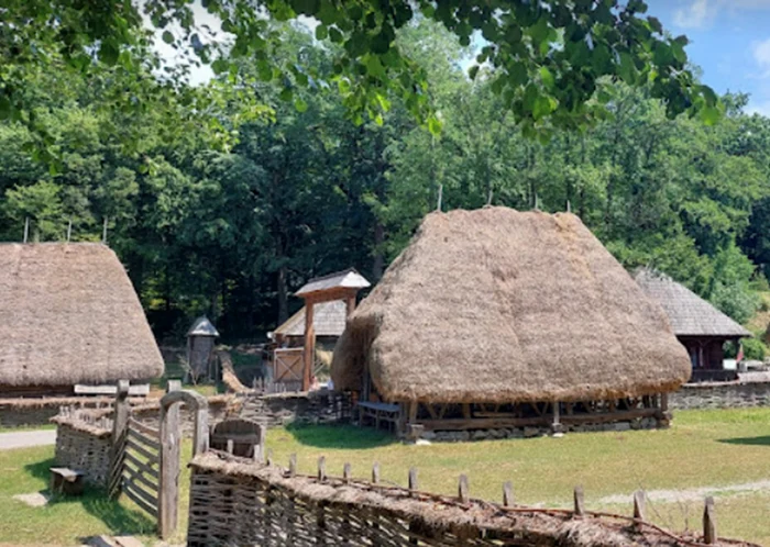 Muzeul Astra din Sibiu