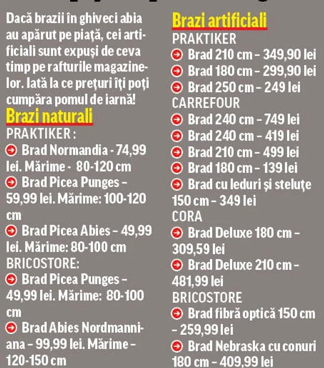 Brazi de Crăciun