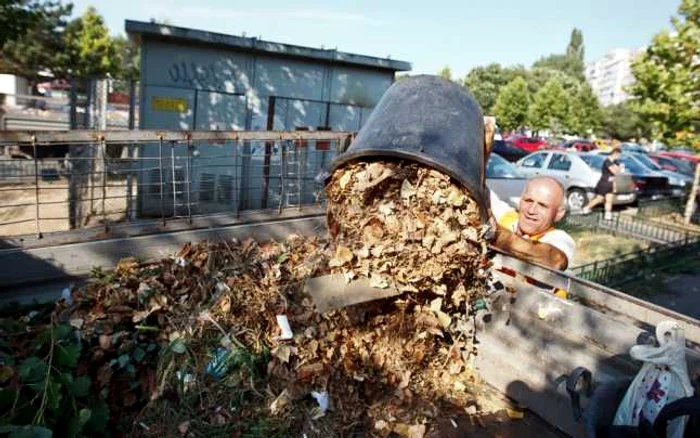 Mai multe amenzi au fost aplicate celor care nu au păstrat normele de mediu din sectorul 6 FOTO Adevărul