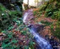 Cascada din Valea Rea Foto Daniel Guță (3) jpg