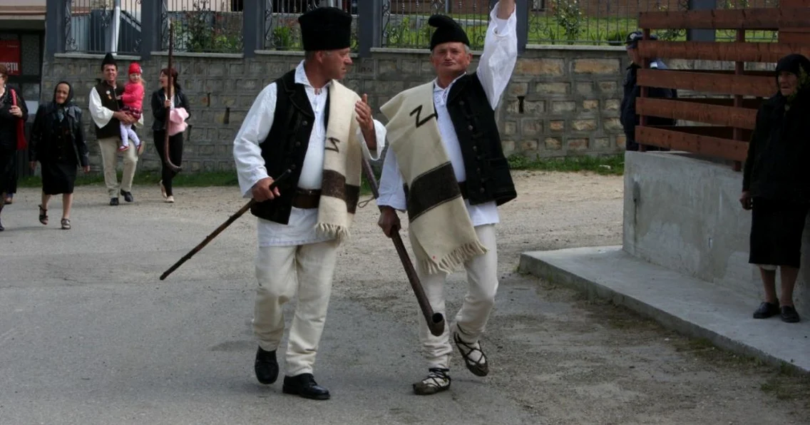 boteit negrilesti