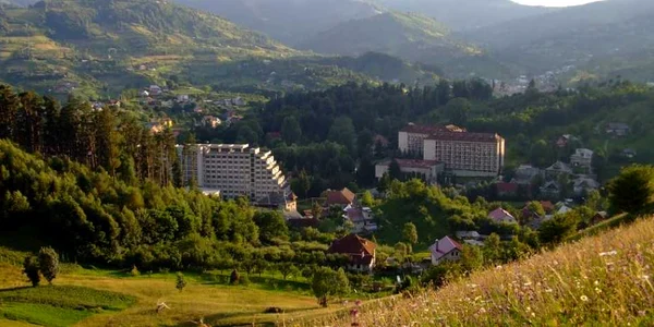 sangeorz bai 11
