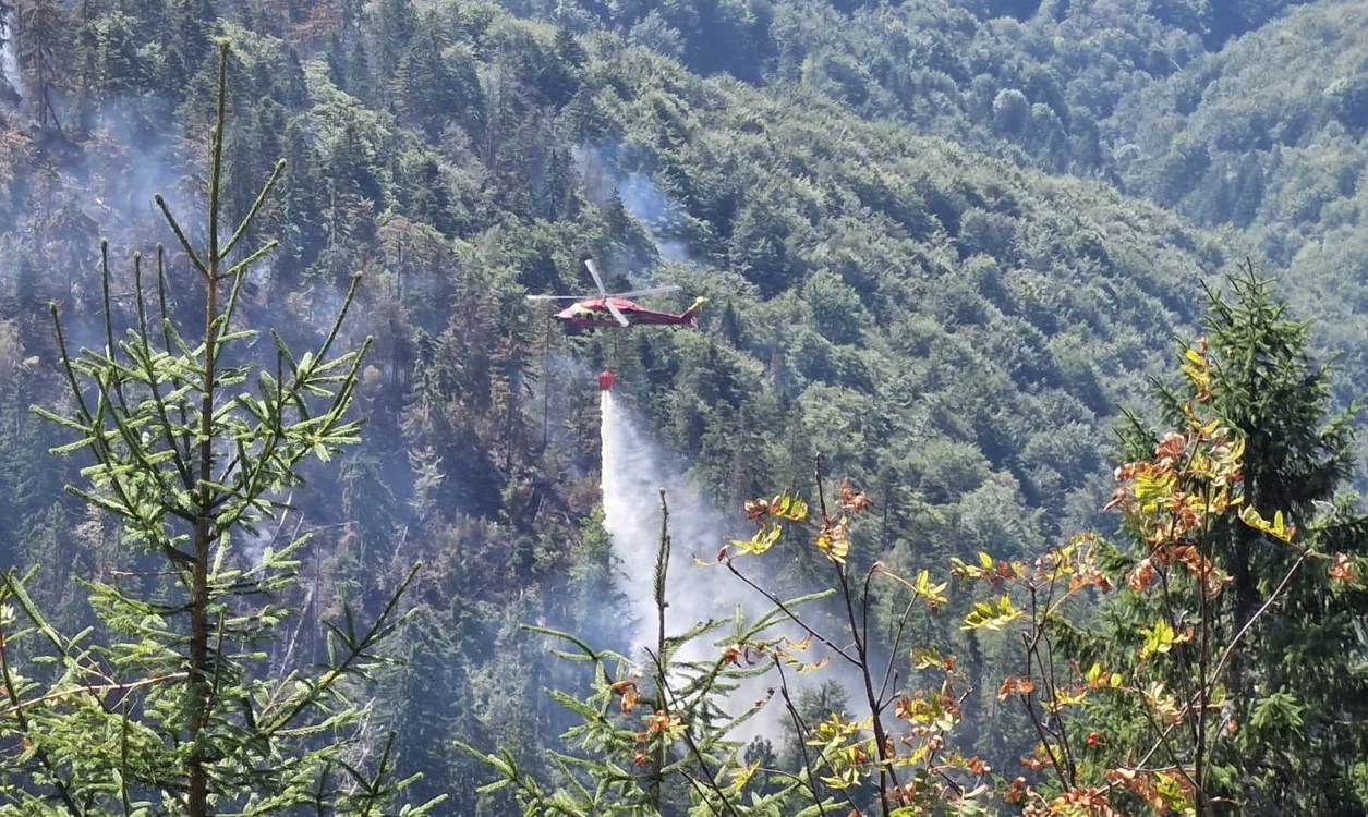 Incendiu de pădure. Foto: ISU Bihor.