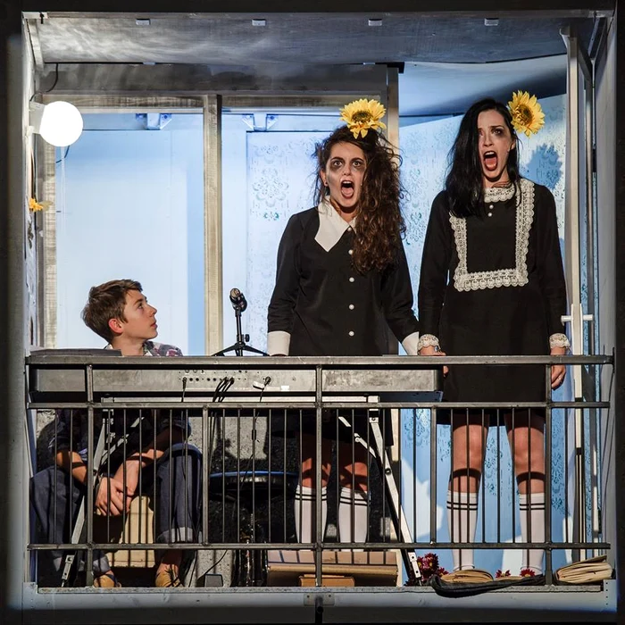 19 rosencrantz2 foto zoltan rab jpg jpeg