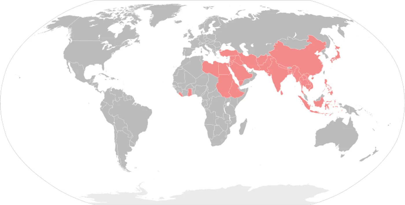 800px Asian African Conference Participants  svg  0 png png