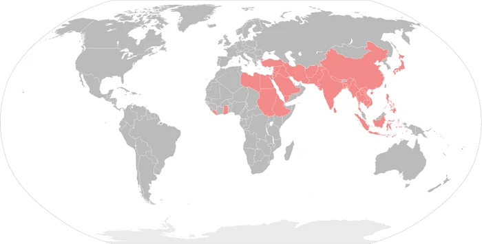 800px Asian African Conference Participants svg 0 png png