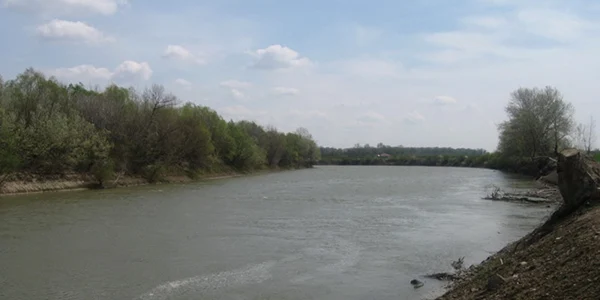 nistru