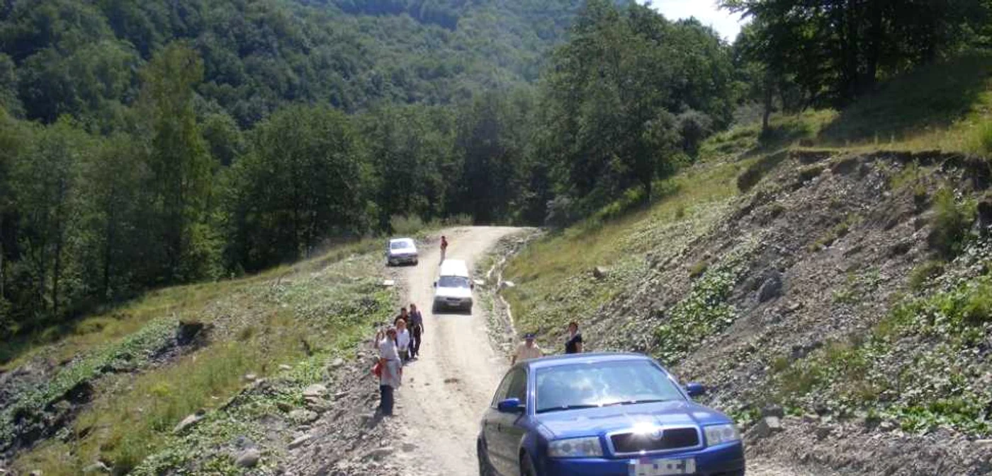 Pădurile Buzăului, în proprietatea unei singure persoane