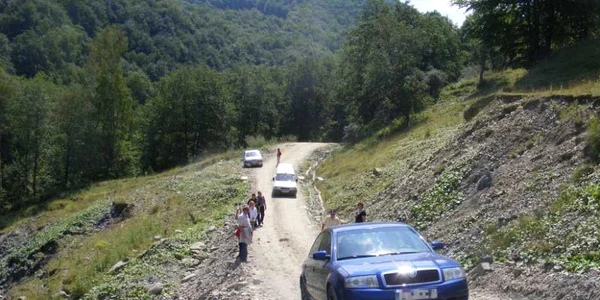 Pădurile Buzăului, în proprietatea unei singure persoane
