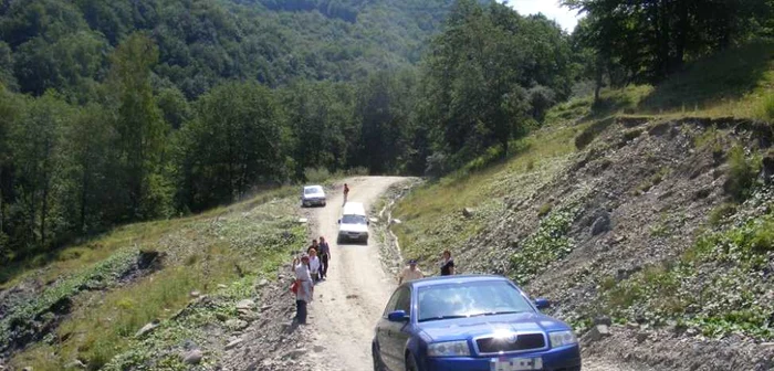 Pădurile Buzăului, în proprietatea unei singure persoane