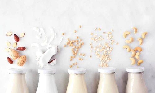 shutterstock 2133051243 jpg