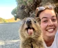 Quokka jpeg