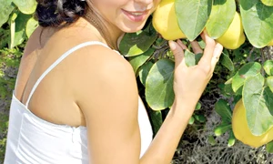 CLIIMA20121001 0029 1 jpeg