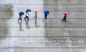 rain 7995866 1280 jpg