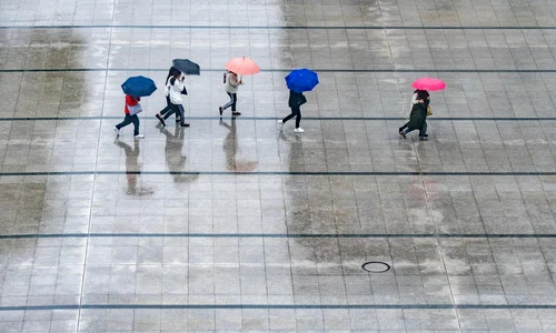 rain 7995866 1280 jpg