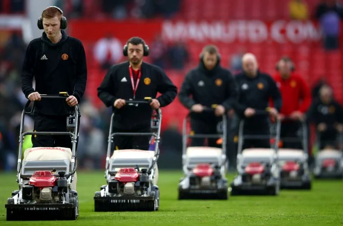 Gazoanele din Anglia sunt îngrijite zilnicFoto: Guliver/ GettyImages