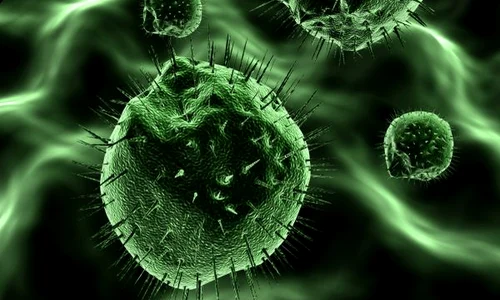 celule cancer 600x400 jpeg